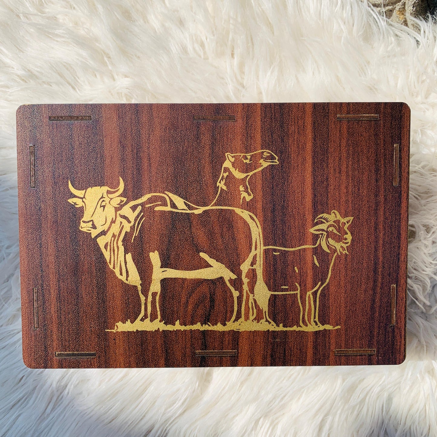 Qurbani Saving Box – Islamic Money Box for Eid ul Adha & Sacrifice