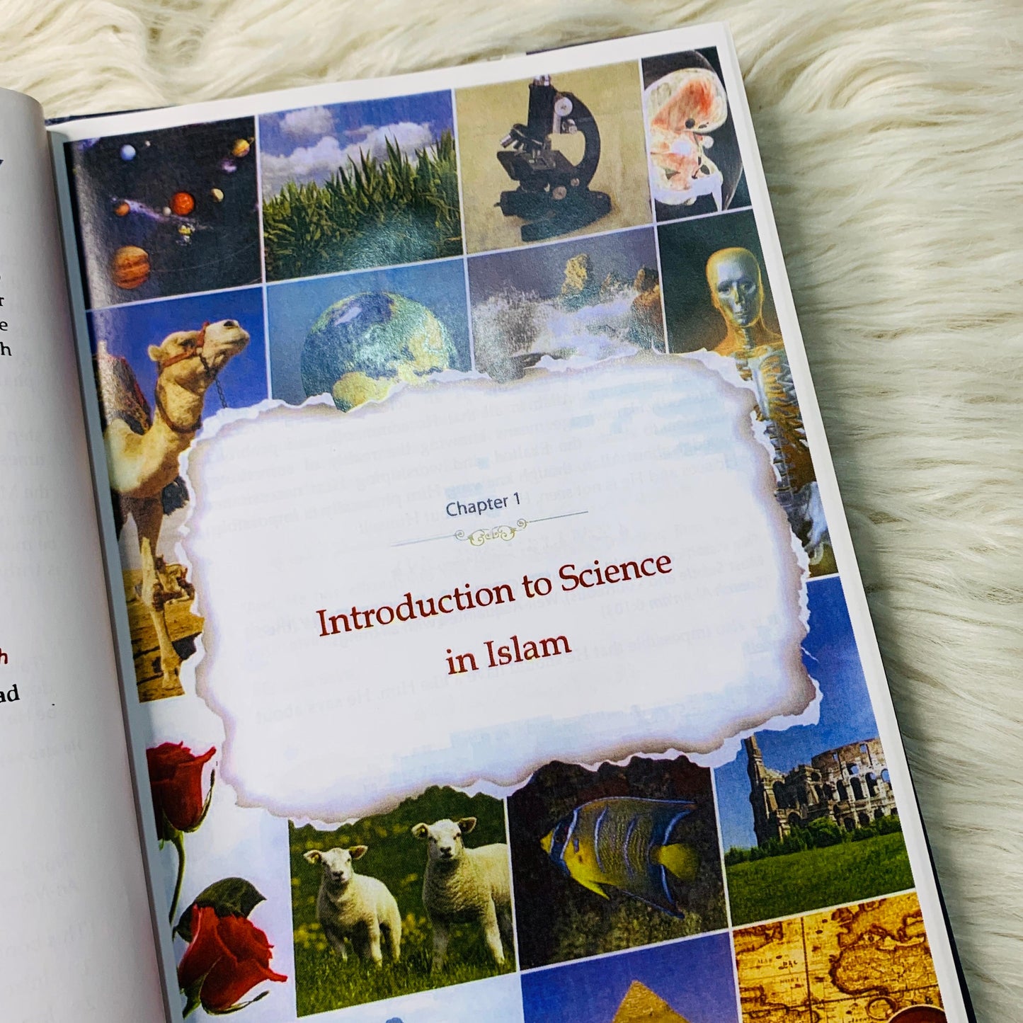 The Unchallengeable Miracles of the Qur`an