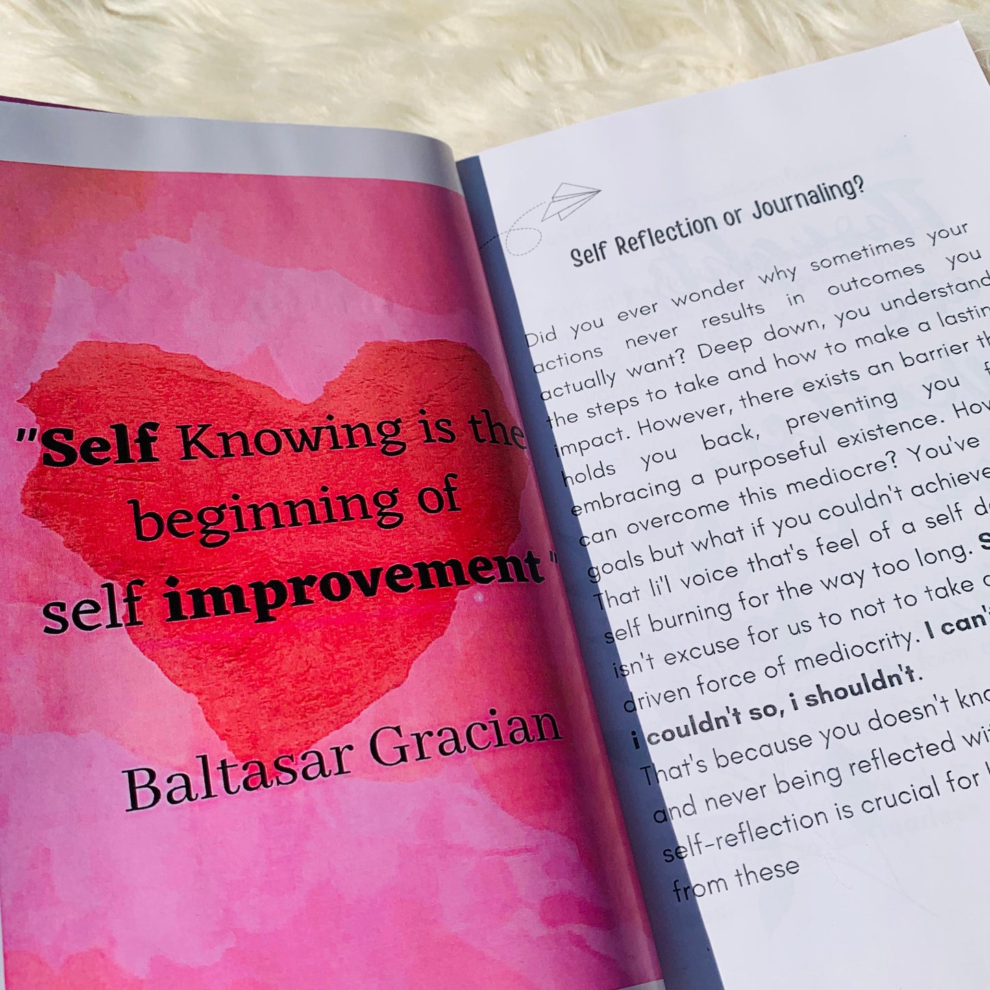 Title: Mirror's Echo: An Introspective Self Talk Journal + BookMark